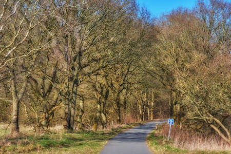 Road in the forest on a sunny day in Autumn with road sign indicating bike lane. Curved roadway...