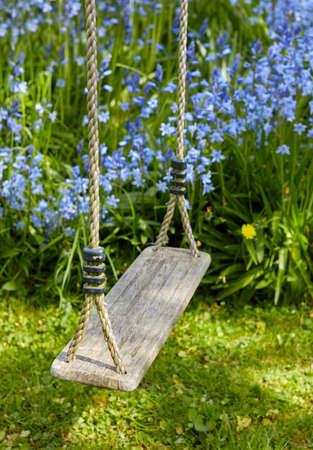 A wooden swing hanging in a beautiful garden with purple flowers growing in a lush green bush and grass. Decorative object swinging outdoors in a backyard near foliage. Botanic area in a yardの写真素材