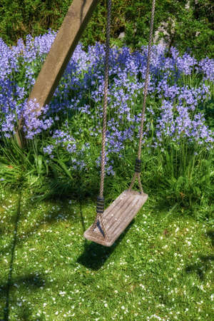 A space to play in a backyard for active children wanting to have fun and play. Empty swing in a...