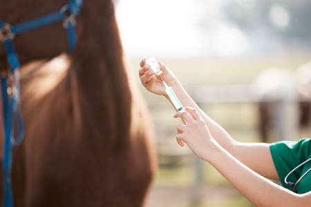 Just your regular shots. Cropped shot of an unrecognisable veterinarian standing alone and preparing to give a horse an injection on a farm.の写真素材