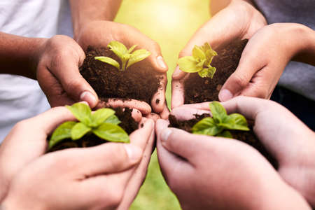 Look after your planet. High angle shot of a group of unrecognizable people holding plants growing out of soil.の写真素材