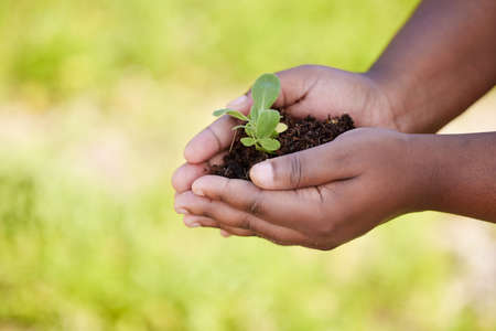 Grow at your own pace. an unrecognisable person holding a plant growing out of soil.の写真素材