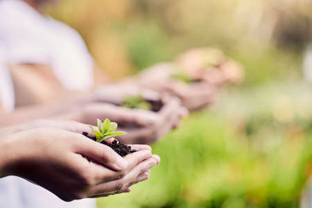 On team green. a group of unrecognisable people holding plants growing out of soil.の写真素材