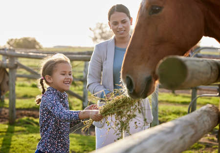 Hes a hungry horse. an adorable little girl feeding a horse on her farm while her mother looks on.の写真素材