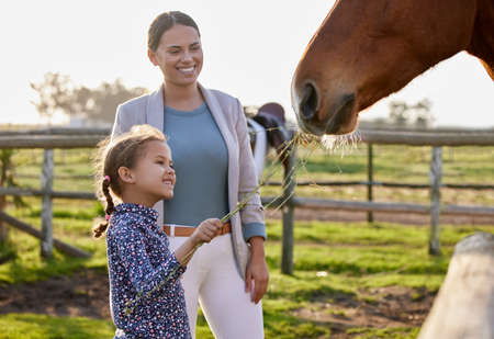 Hey horsey, I got you a snack. an adorable little girl feeding a horse on her farm while her mother looks on.の写真素材