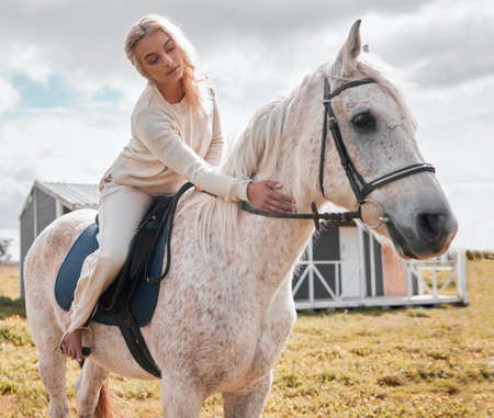 No one can teach riding so well as a horse. a young female on top of a horse on a farm.の写真素材