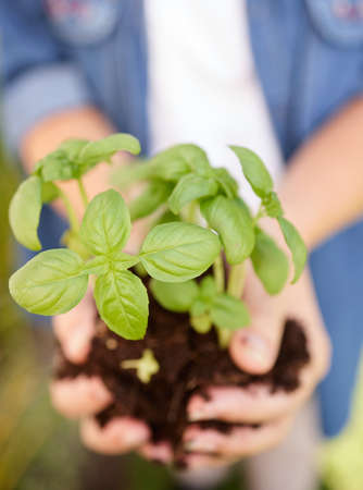When you take care of things, they grow. an unrecognizable person gardening in the backyard at home.の写真素材