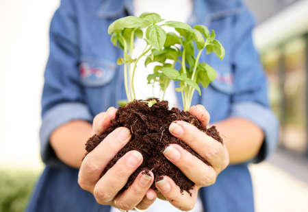 Growth is a beautiful process. an unrecognizable person gardening in the backyard at home.の写真素材