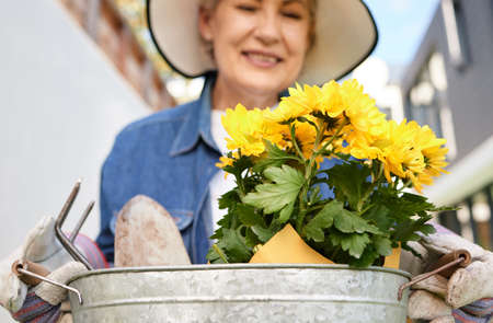 Flowers to add a little colour to my day. a senior woman gardening in the backyard at home.の写真素材