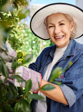 My garden is my happy place. a senior woman gardening in the backyard at home.の写真素材