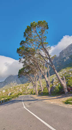Countryside road by the mountains winding through a scenic rocky hill. Street on the mountain with green trees and cloudy blue sky copy space. A nature path for traveling or hiking in Cape Townの写真素材