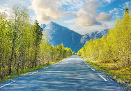 Idyllic empty road surrounded by trees and forest in summer. Deserted and scenic street or highway...