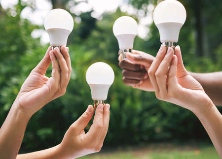 Multiple hands holding lightbulbs outside in nature. Closeup of multiethnic people holding bulbs as...