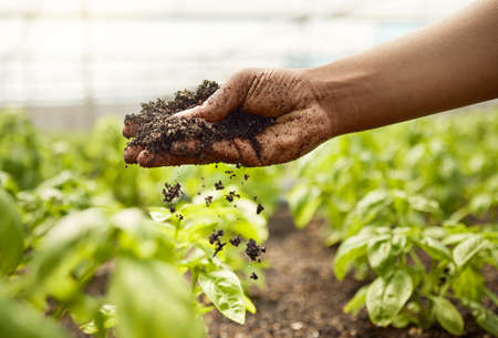 Closeup of dirt falling from the hand of a farmer. hand of farmer checking soil quality. African...