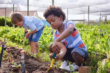 Hands on is the best way to learn. Full length shot of an adorable little boy working on a farm with...