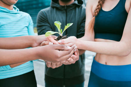 Closeup of diverse group of people holding a green plant in palm of hands with care to nurture and protect nature. Uniting to support seedling with growing leaves as a symbol of being environmentally sustainable and responsible.の写真素材
