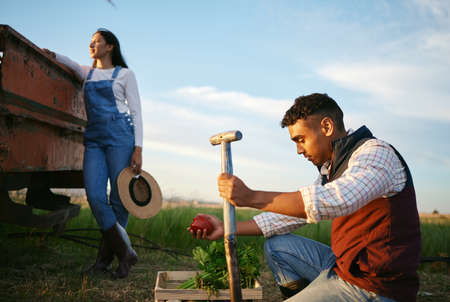 Two farmers working on a field. Young mixed race man and brunette woman working together on their agricultural land. Harvest season always provides the best organic produceの写真素材