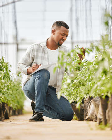 Monitoring growth. Full length shot of a handsome young man working on his farm.の写真素材