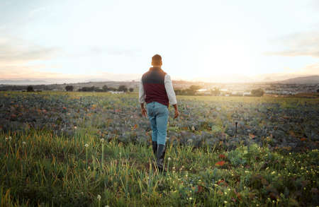 The masters eye is the best fertilizer. a farmer standing on a field.