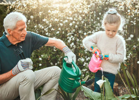 A society grows great when old men plant trees. an adorable little girl gardening with her grandfather.の写真素材