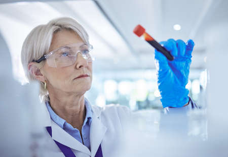What will she discover. a mature scientist analysing a blood sample in a test tube.の写真素材
