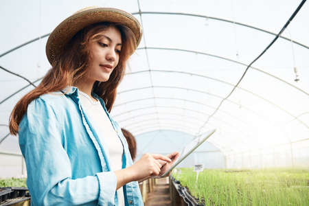 Keeping track of things with her tablet. an attractive young woman using a tablet while working in a greenhouse on a farm.の写真素材