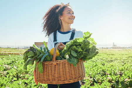 She never dreamed shed come this far. a young farmer holding a basket of freshly harvested veggies.の写真素材