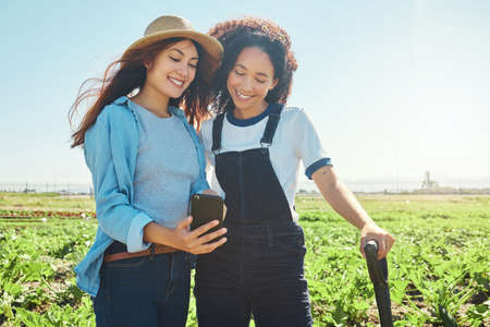 I found this new tip. two female farmers looking a cellphone while harvesting.の写真素材