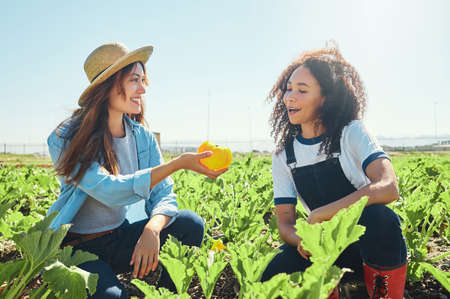 What do you think of this. a female farmer giving her coworker a freshly picked pepper.