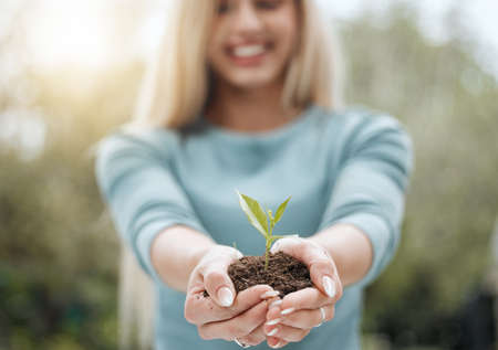 To new beginnings. a unrecognisable person holding a plant growing out of soil.の写真素材