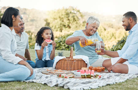 Home is where you are loved the most. a family enjoying a picnic in a park.の写真素材
