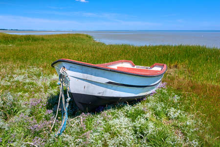Old abandoned wooden fishing boat in a green grassy meadow with flowers. Still ocean and a cloudy blue sky with copyspace in background. Perfect escape and adventure to a tranquil and remote islandの写真素材