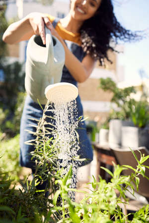 Nurture it and watch it turn into something beautiful. a young female florist watering plants at work.の写真素材