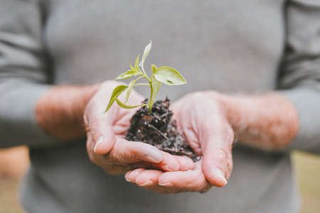 Optimise your health, optimise your health. a group of unrecognisable senior man holding a plant...