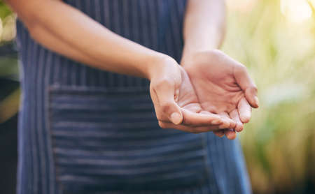 Ready to receive all miracles. a florist with her hands open ready to receive.の写真素材