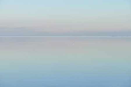 Beautiful, sky and blue beach with sea water on a relaxed and calm day in nature with copy space. Landscape view of a peaceful ocean, perfect for a natural and relaxing wallpaper backgroundの写真素材