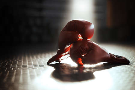 Nothing defeated, nothing gained. boxing gloves ready to be used.