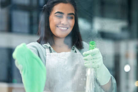I want to see my reflection in this window. a young woman cleaning her windows.