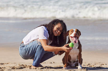 Apparently patience gets you treats. a woman playing with her pit bull at the beach.の写真素材