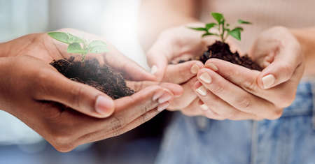 Growth is an essential part of life. two unrecognizable people holding plants growing out of soil.の写真素材