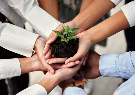 Its a great feeling knowing youve built something. High angle shot of a group of unrecognizable businesspeople holing a budding plant while standing in their office.の写真素材
