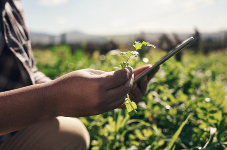 A small device that yields big results. an unrecognisable man using a digital tablet while working on a farm.の写真素材