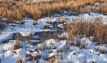 Danish Winter landscape by the coast of Kattegat. Photos of Danish winter by the coast of Kattegat.