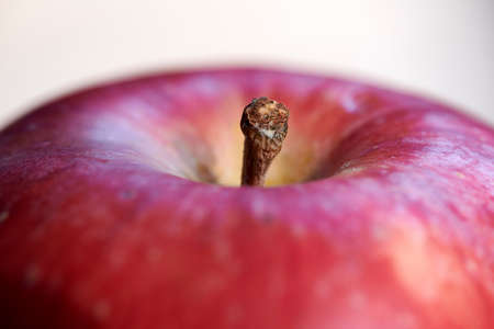 Tasty and beautiful apples. A photo of tasty and beautiful apples.の写真素材