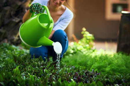 Water is the lifeblood of every farm. an unrecognizable female farmer watering plants and crops at her farm.の写真素材