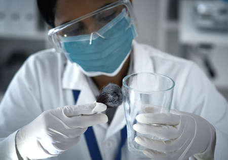 Dusting is delicate business. High angle shot of a female forensic scientist dusting for prints in...