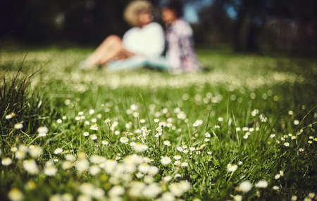 The park is where couples hang out. an unrecognizable couple sitting on the lawn.の写真素材