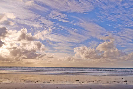 Torrey Pines Beach - San Diego, California, USA. The beautiful Torrey Pines Beach, San Diego, California.の写真素材