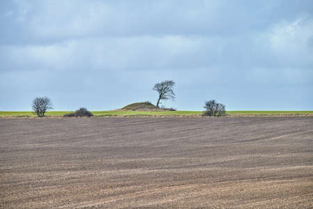 Early springtime in the countryside - Denmark. A photo of the countryside in early springtime.の写真素材