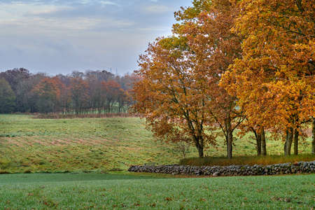 Autumn fields. A photo of a vibrant country field in early autumn.の写真素材